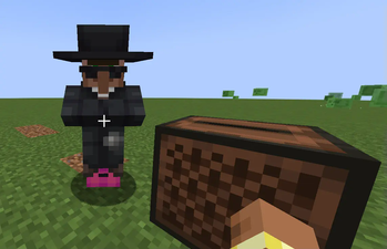 Musician Villager