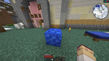 The Coral is alive outside of water !