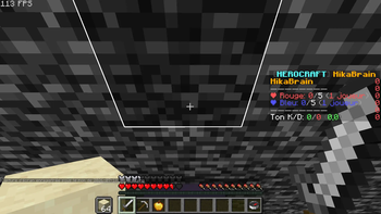 the goal is located under the enemy spawn in the hikabrain
