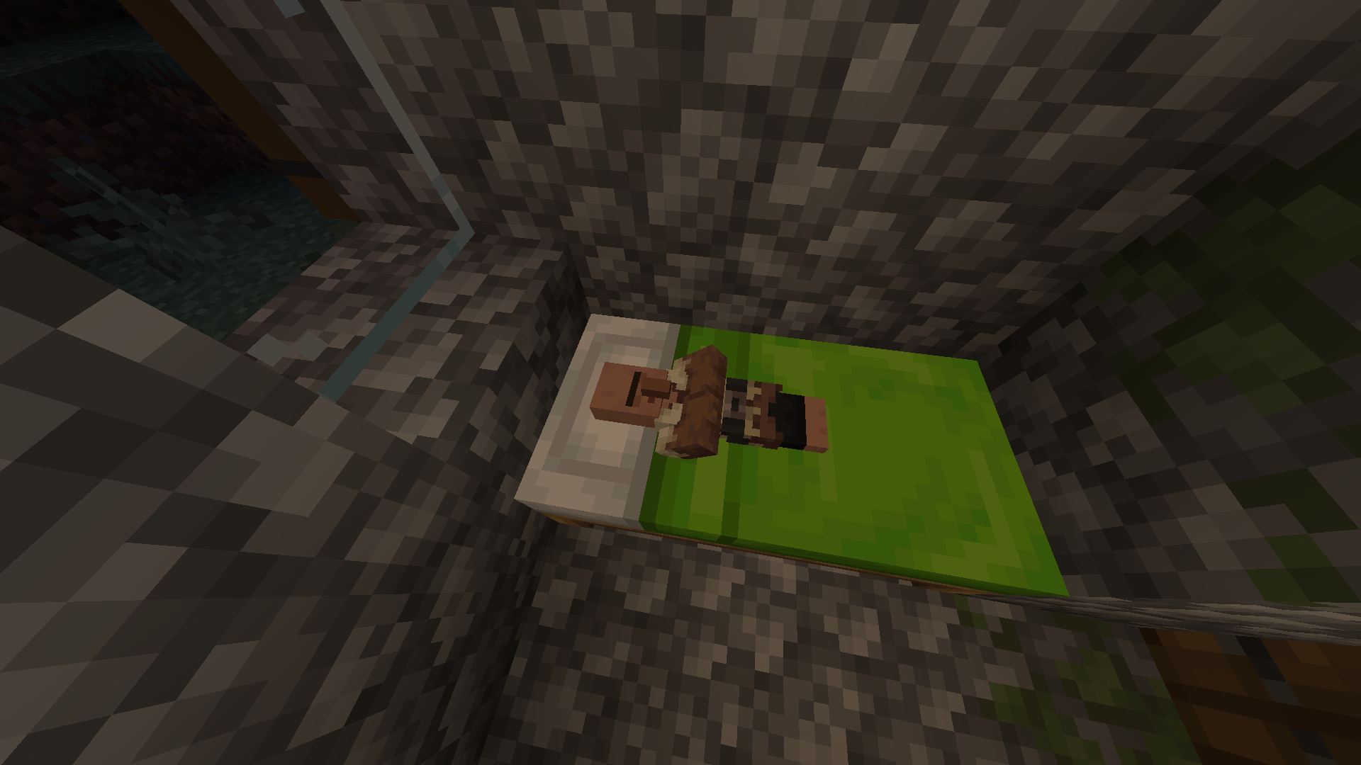 Sleeping Villagers Gallery