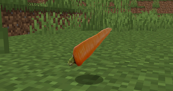 Hyper Realistic Carrot