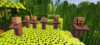 Villagers