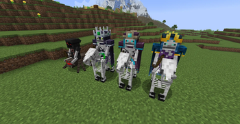 Better Jockeys