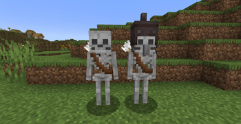 Normal and Villager Skeletons