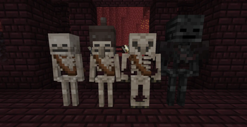 Nether Skeletons and Wither Skeleton