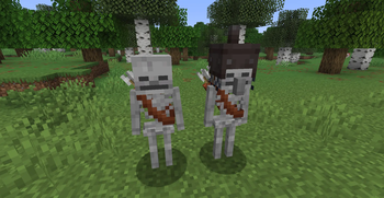 Normal and Villager Skeletons