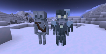 Snowy Skeleton and Stray (Normal)