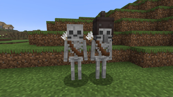 Normal and Villager Skeletons