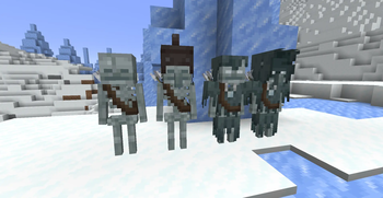 Snowy Skeletons and Strays