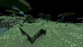 Overworld at night
