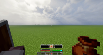 New bundle feature