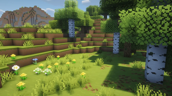 Plains
