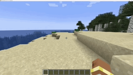 Third Person with mod installed