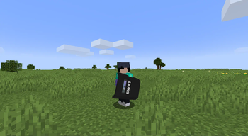 Shield