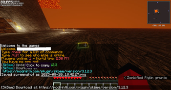Example 1 SkBee