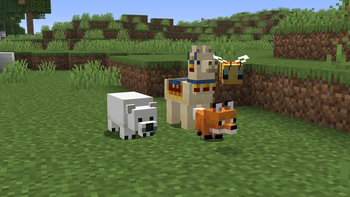 Bee, llama, fox, bear fixes