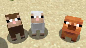 Sheeps and pig