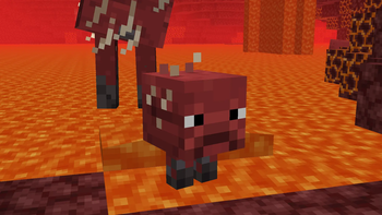 baby strider