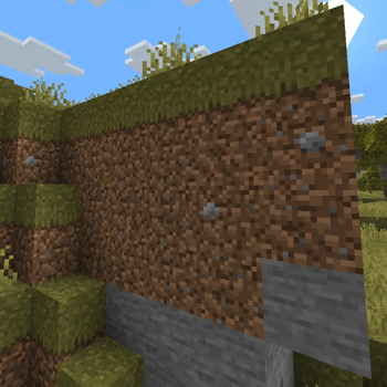 Variated dirt and lower grass