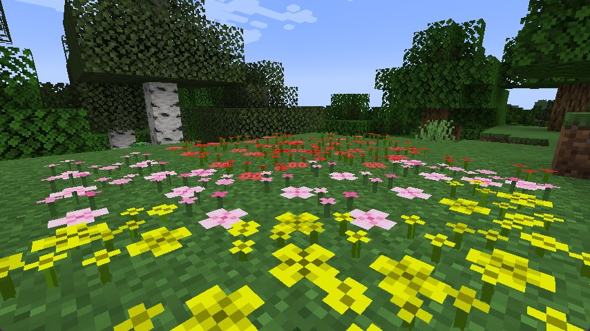 A flower field