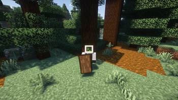 Spruce Shield