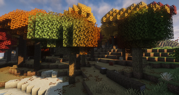 Oak Trees