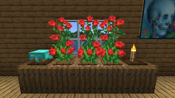 Showcase 3