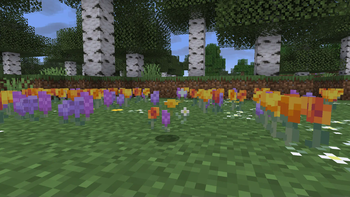 Wildflowers item