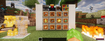 showcase2