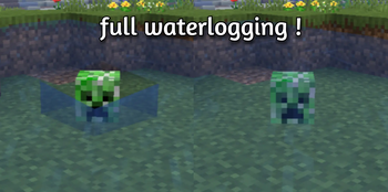 Full Waterlogging