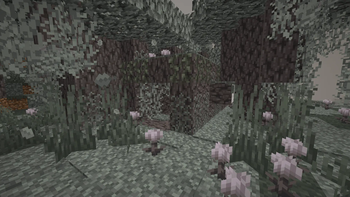 fallen log