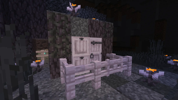 house in the fallen log
