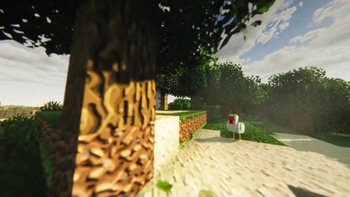 Allium Shaders