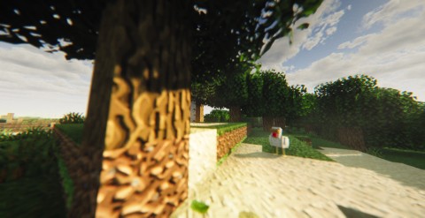 Allium Shaders