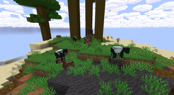 Nature Scene 2