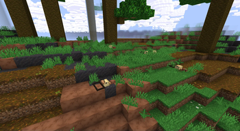Nature Scene 3