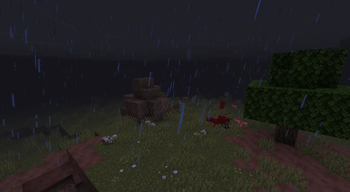 Nature Scene 1
