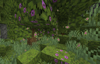 Azalea Atmosphere
