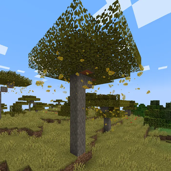 Savanna Leaf Atmosphere