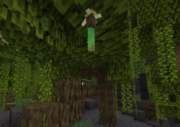 Mangrove Swamp Atmosphere