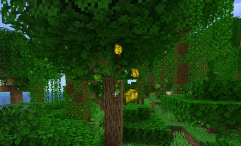 Dynamic Jungle Atmosphere