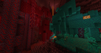 nether