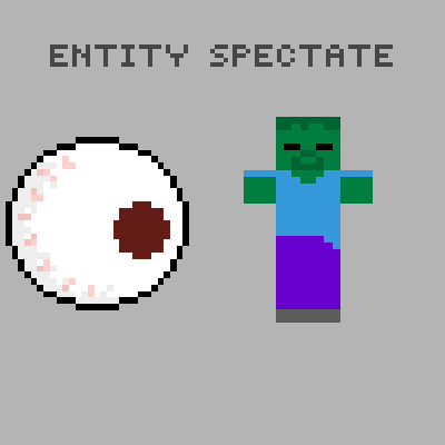 Entity Spectate