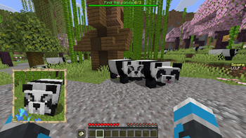 Panda Finder