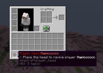 Player Head