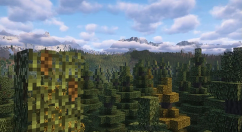 Ever expanding landscapes