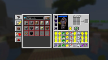 what the items will look like