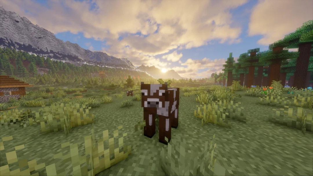 World Gen 5