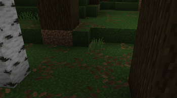 Dark Forest