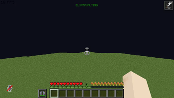 The elytra flight detector